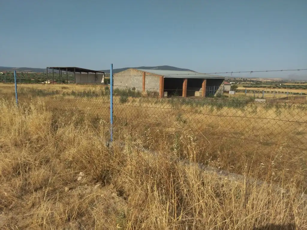 Terreni e lotti in vendita a La Haba