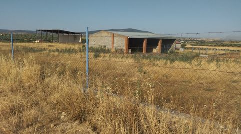 GRANJA GANADERA EN LA HABA