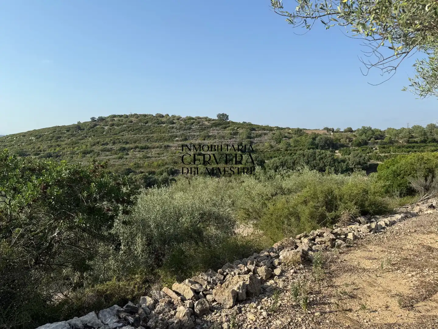 Terreno rustico in vendita a Cervera del Maestre, imagen 7