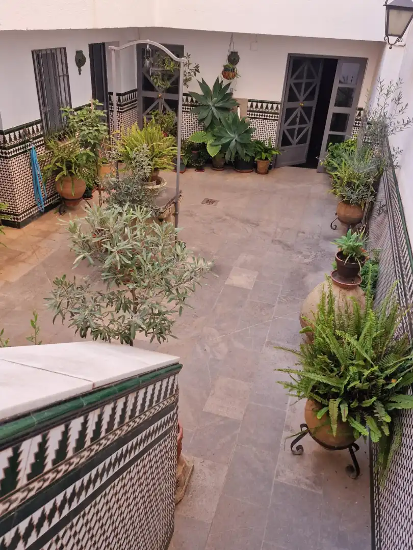 Casa con terraza en venta en Calle Alaminos, imagen 29