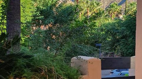 Photo 5 of Planta baja for rent in Divina Pastora, Marbella