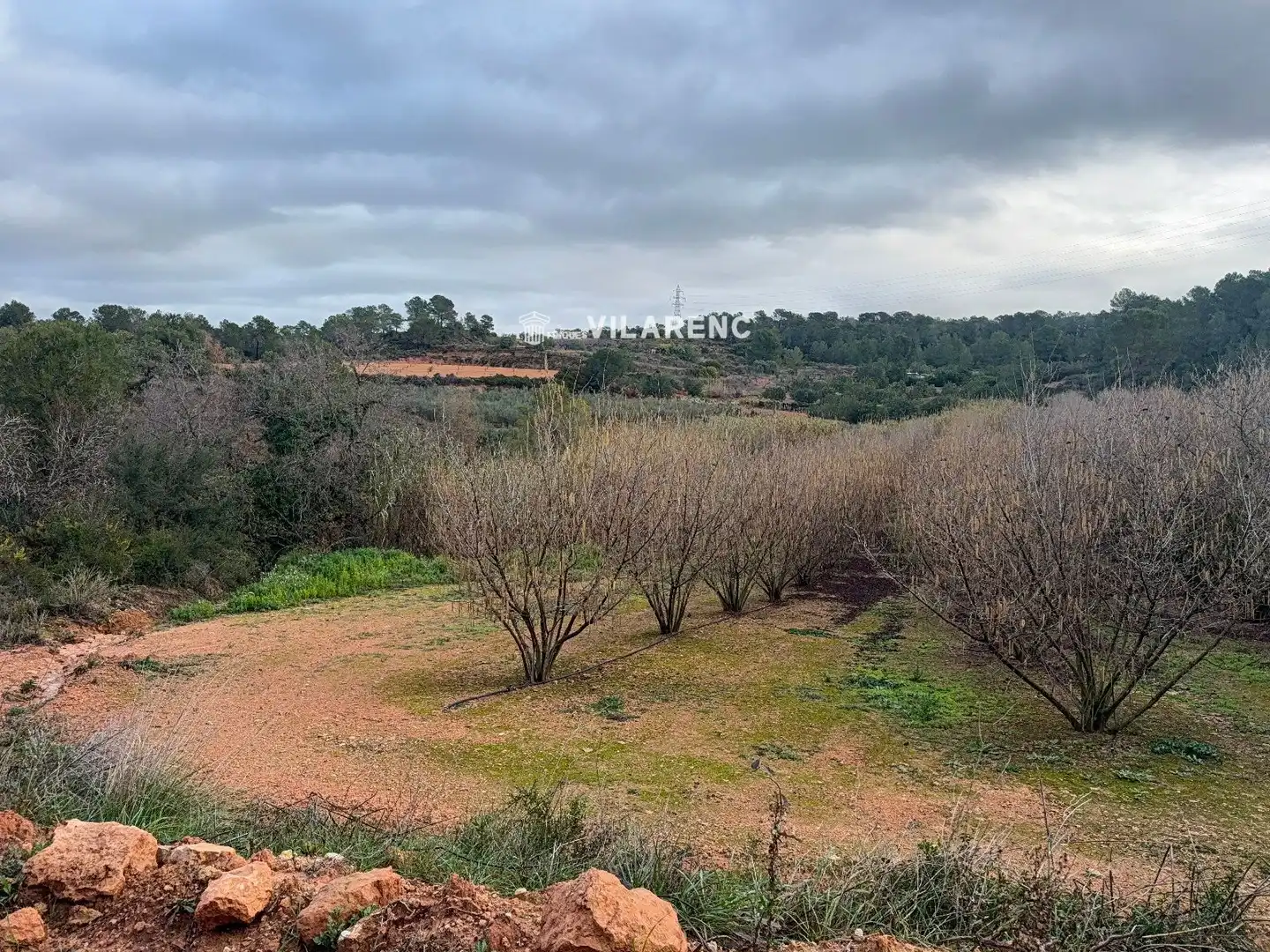 Terrain rustique à vendre à Vallmoll, imagen 11