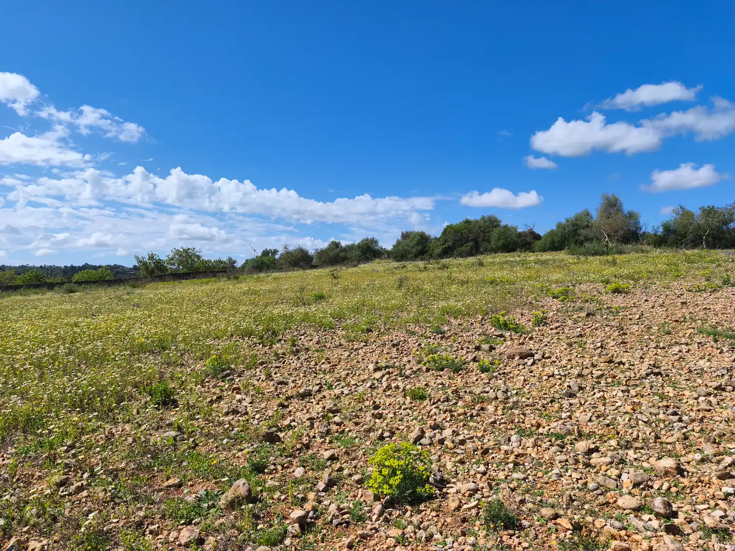 Terrain rustique à vendre à Carrer del Consistori 2, imagen 5
