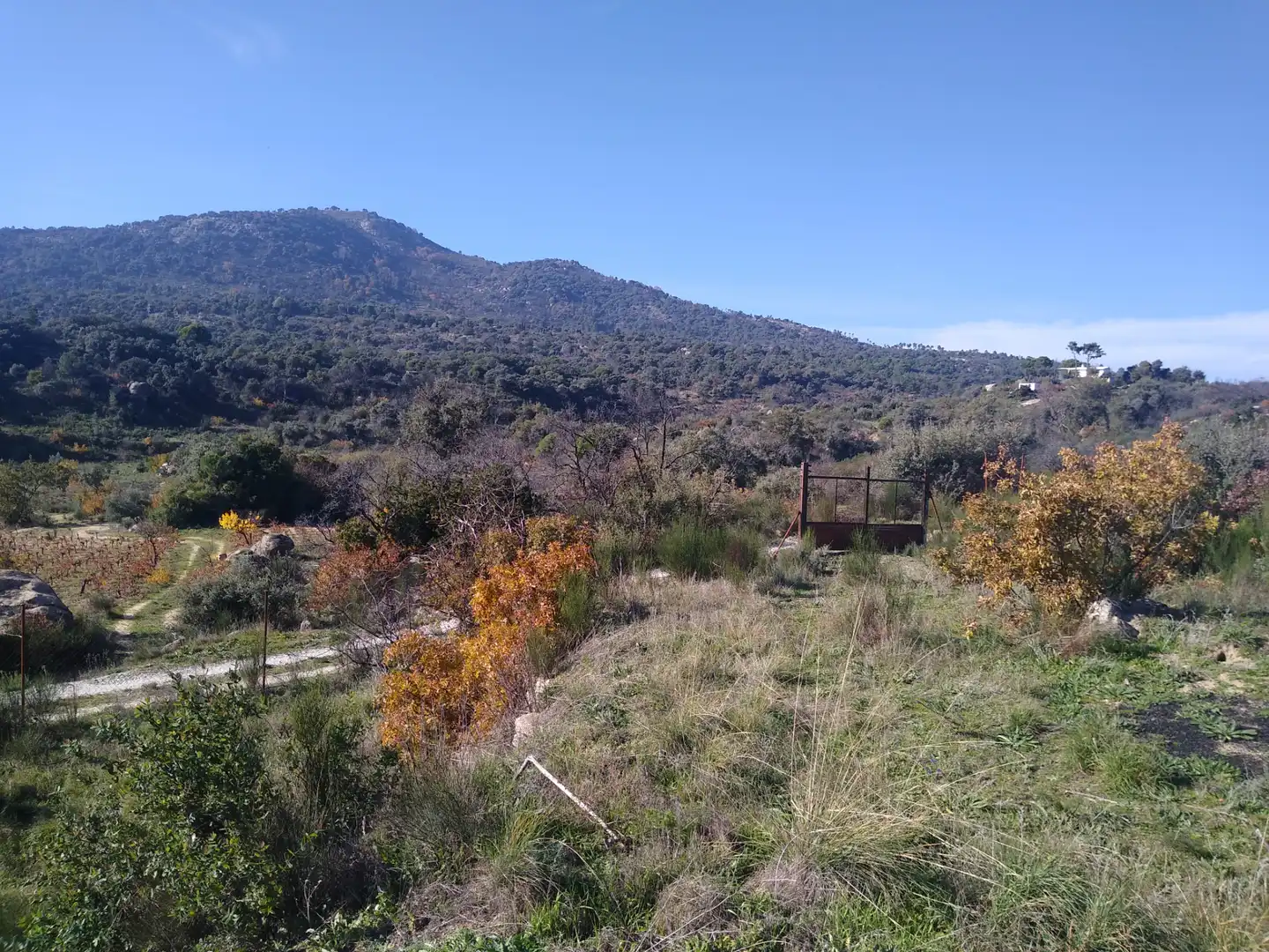 Rural land for sale in Cadalso de los Vidrios, imagen 4