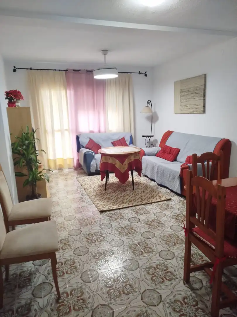 Sala de estar de Piso de alquiler en Albox con Amueblado