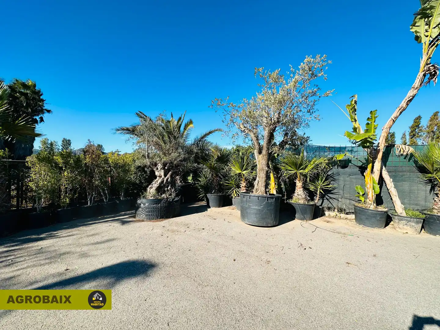 Terreno rustico in vendita a Eixample, imagen 29