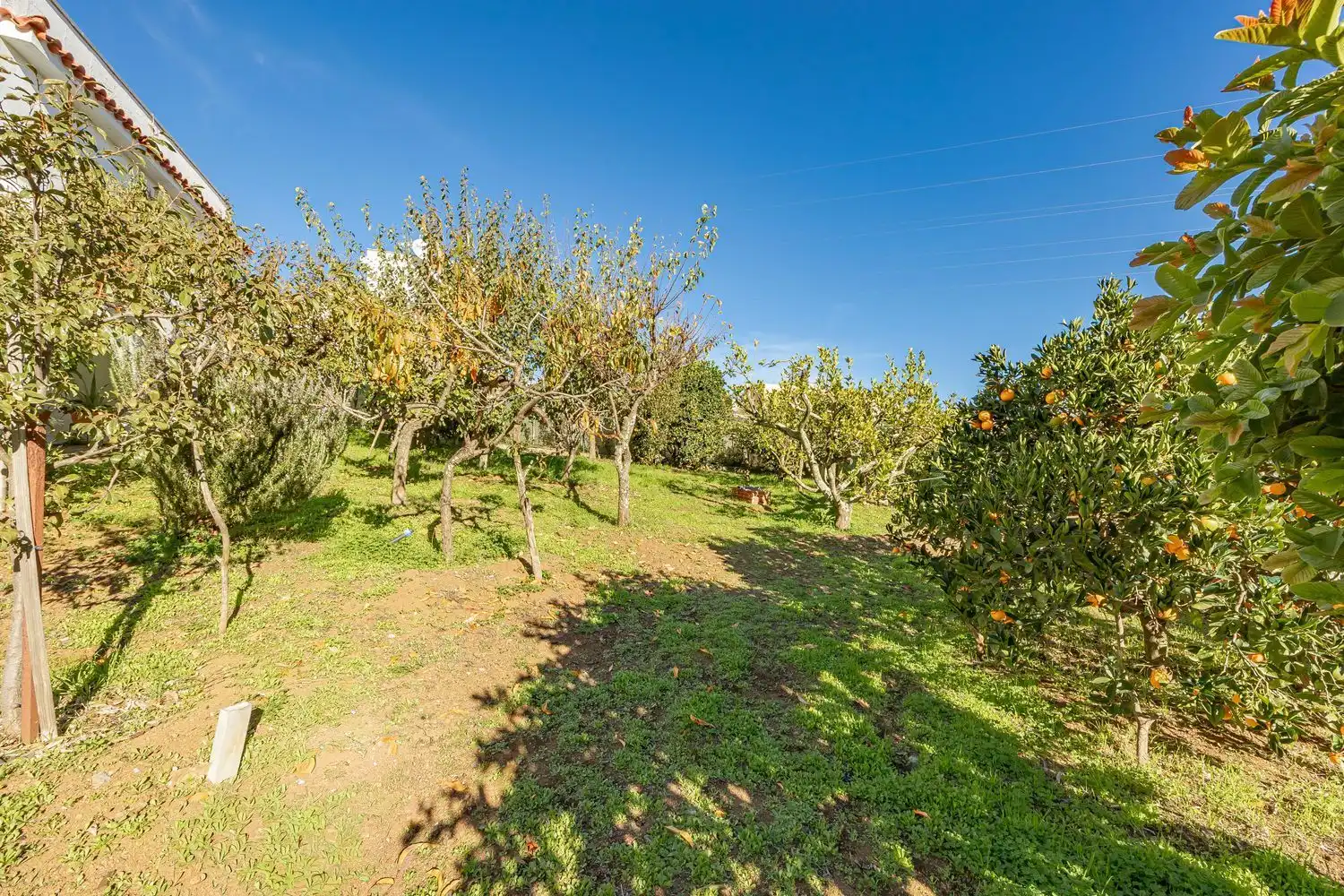 Casa o xalet en venda en Vega de San Mateo amb Jardí privat i Terrassa