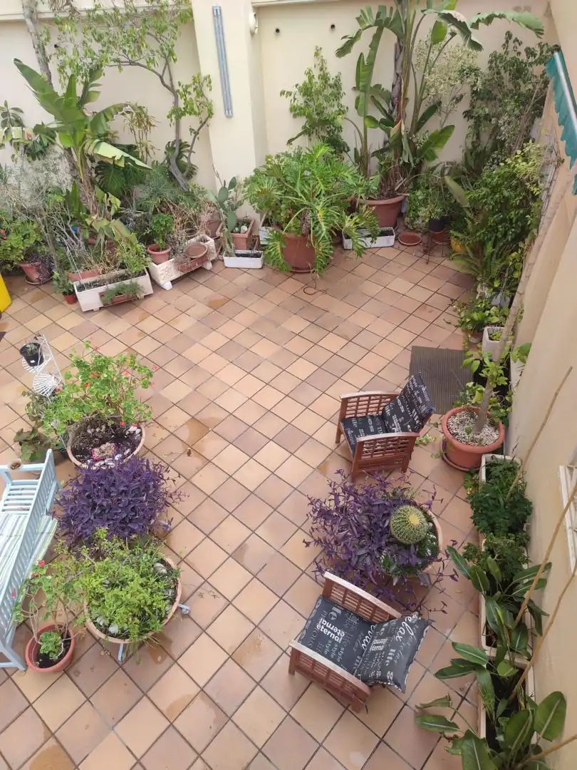 Apartament amb piscina en venda a Playa de Levante, imagen 11