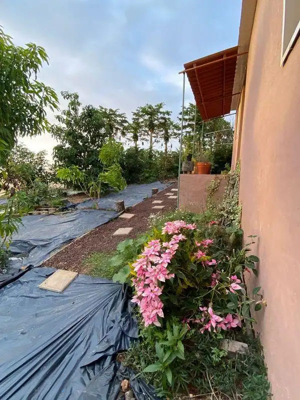 Terrassa de Finca rústica en venda en Santa María de Guía de Gran Canaria