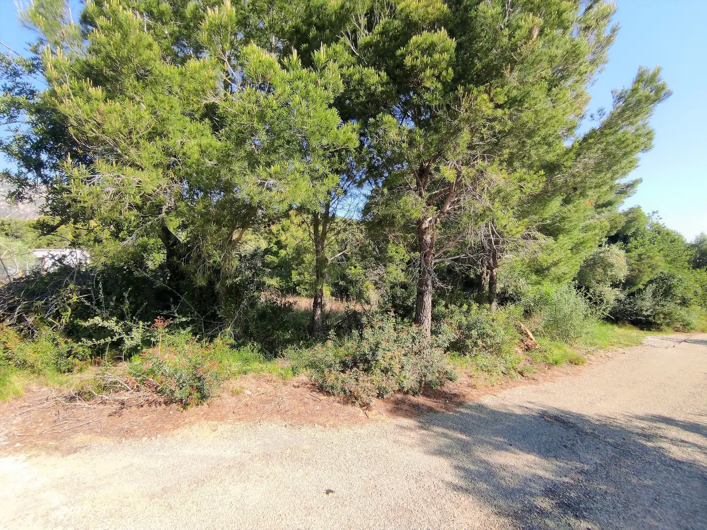 Rural land for sale in Alcanar, imagen 4