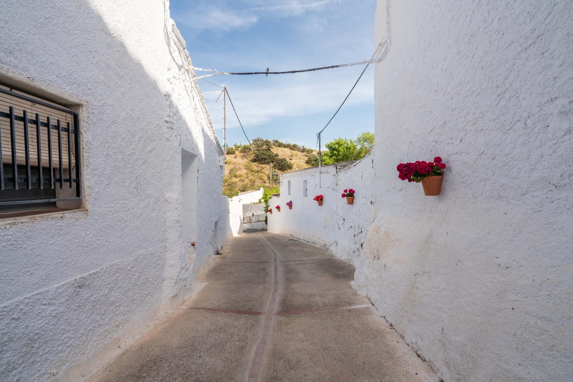 Exterior view of Country house for sale in Alcudia de Monteagud  with Terrace