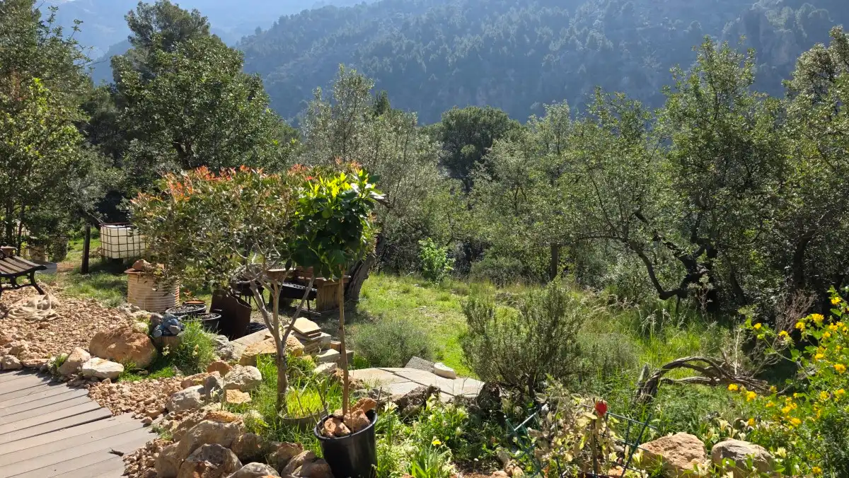 Terreny rústic en venda a Sóller, imagen 12