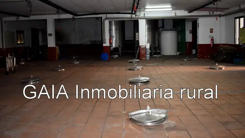 Adossat en venda a Maella, imagen 14