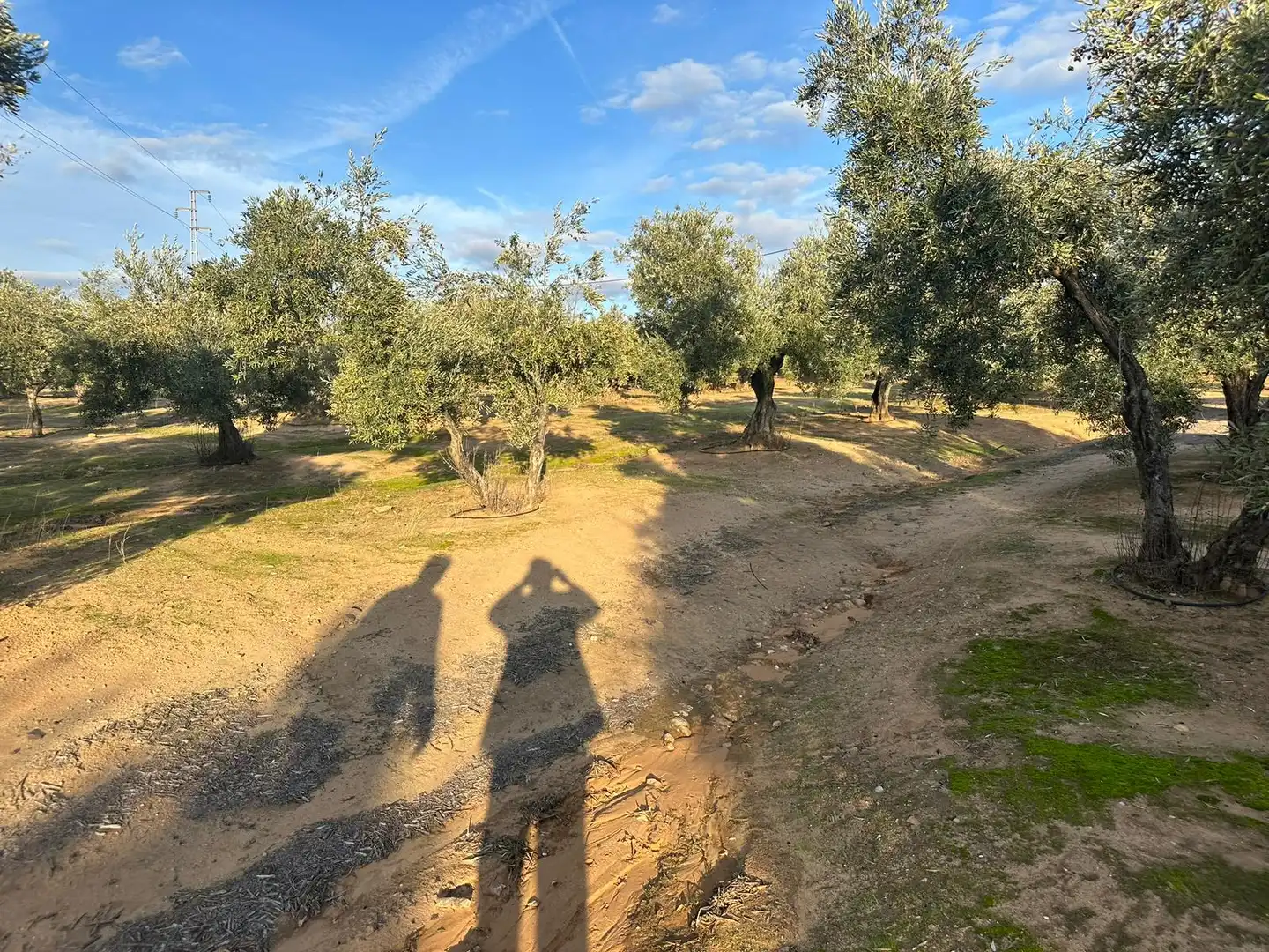 Grundstücke zum Verkauf in Andújar