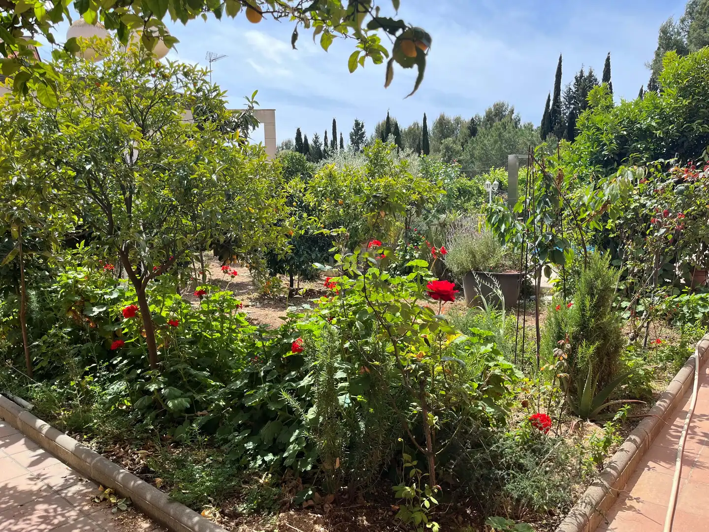 Garden of Houses for sale in El Vendrell  with Air Conditioner, Heating and Terrace