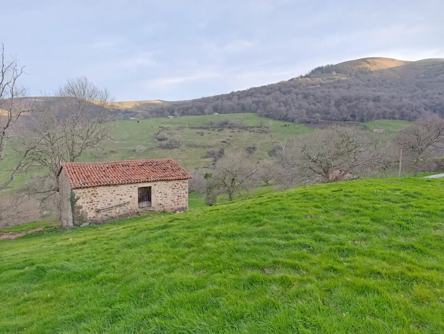 Casa o chalet en venta en Esles - GEIDO POLÍGONO 32 PARCELA 83, Santa María de Cayón