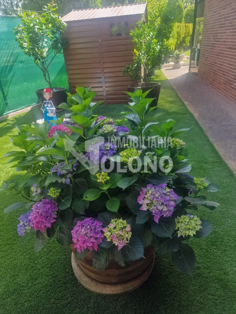 Jardí de Casa o xalet en venda en Ollauri amb Calefacció, Jardí privat i Terrassa