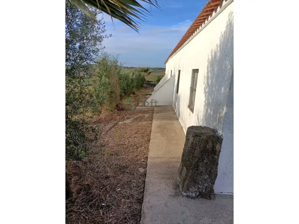Vista exterior de Casa o xalet en venda en Olivenza amb Forn i Rentadora