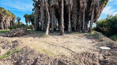 Photo 2 of Land for sale in Les Planes, Barcelona