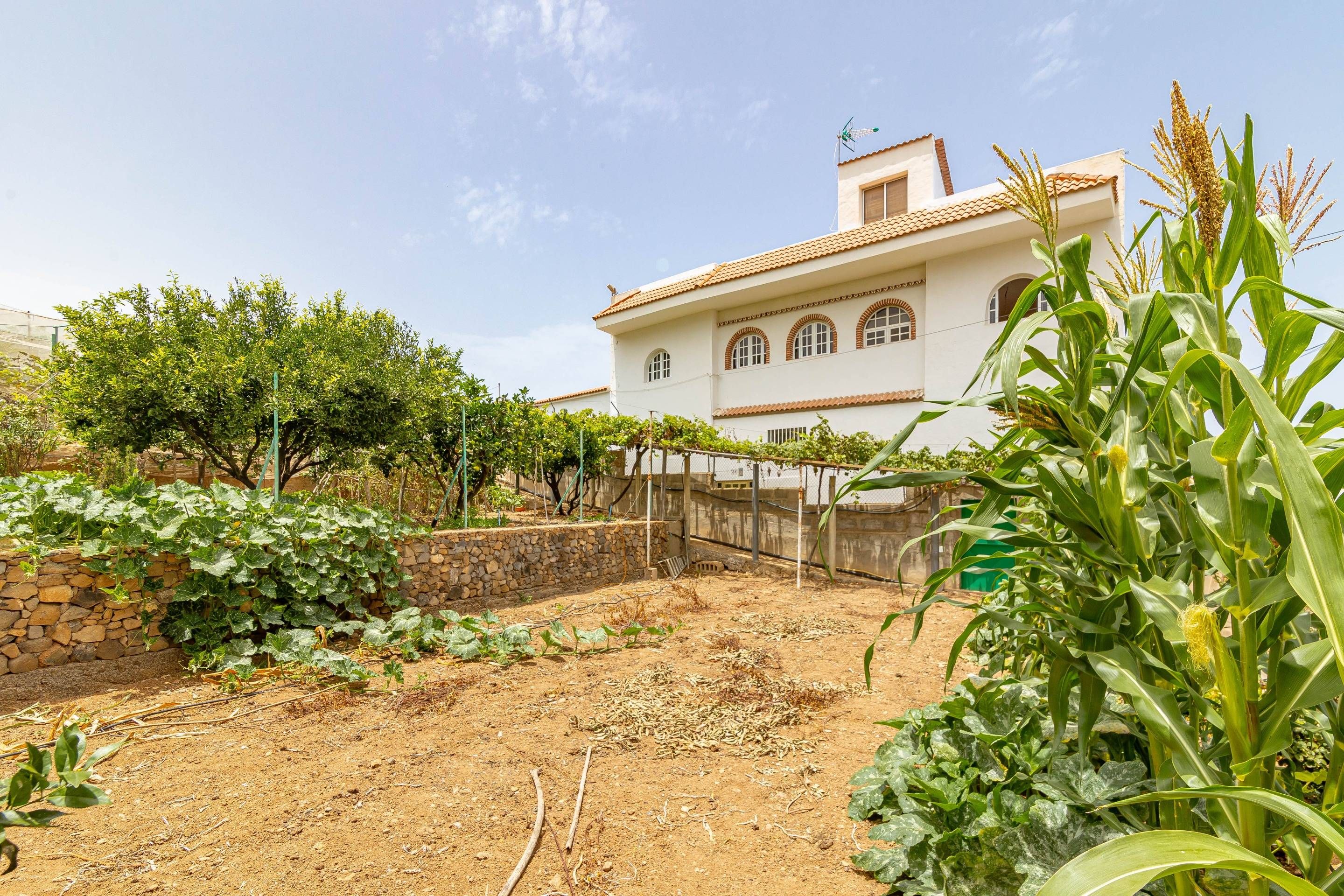 Casa o xalet en venda en Arucas amb Calefacció, Jardí privat i Terrassa
