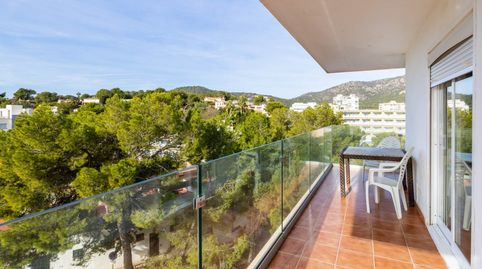 Apartamento en primera línea de playa para reformar con acceso directo al mar en venta en Palmanova, Mallorca, imatge 3
