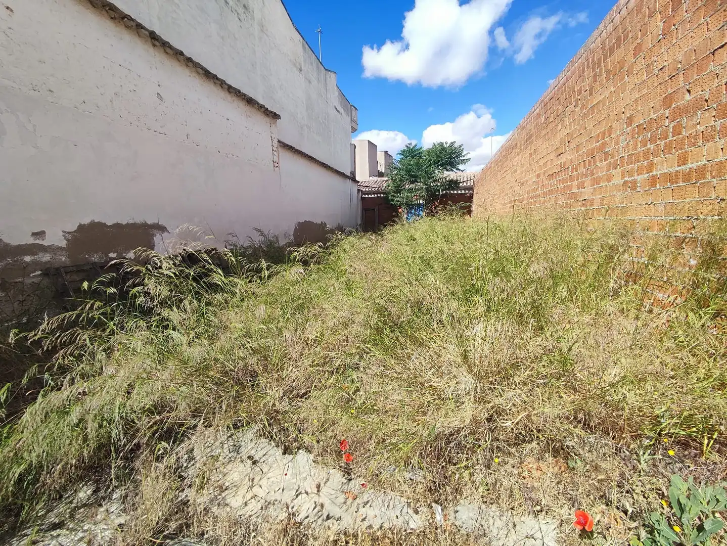 Terreny residencial en venda a Calle de Santa Catalina, imagen 12