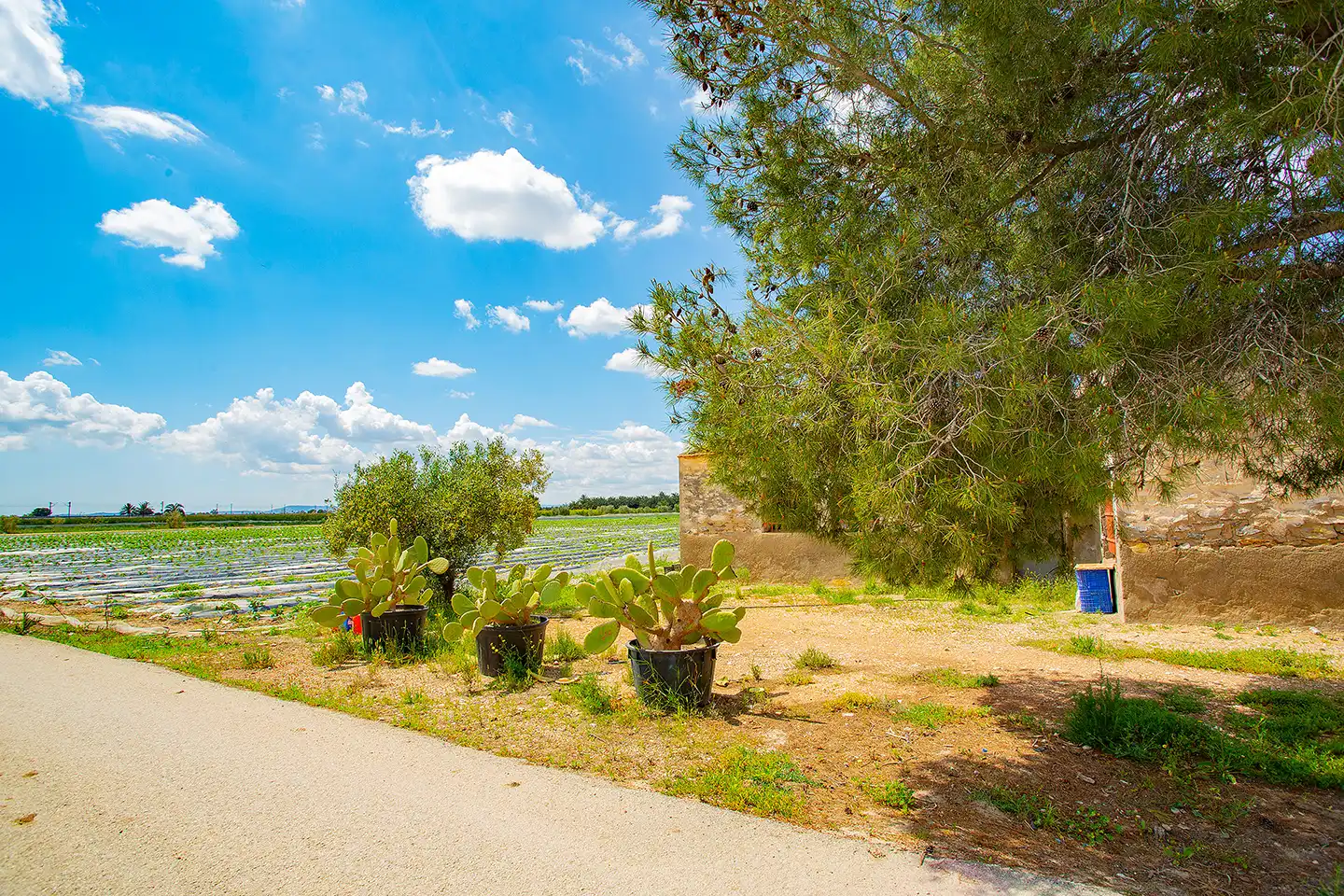 Finca rústica en venda en San Isidro