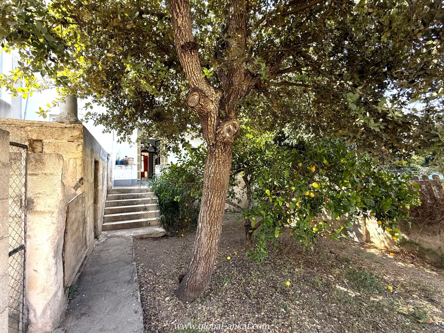 Planta baixa en venda a Felanitx Poble