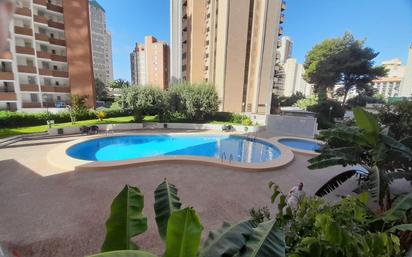 Swimming pool of Flat for sale in Benidorm  with Terrace and Community pool