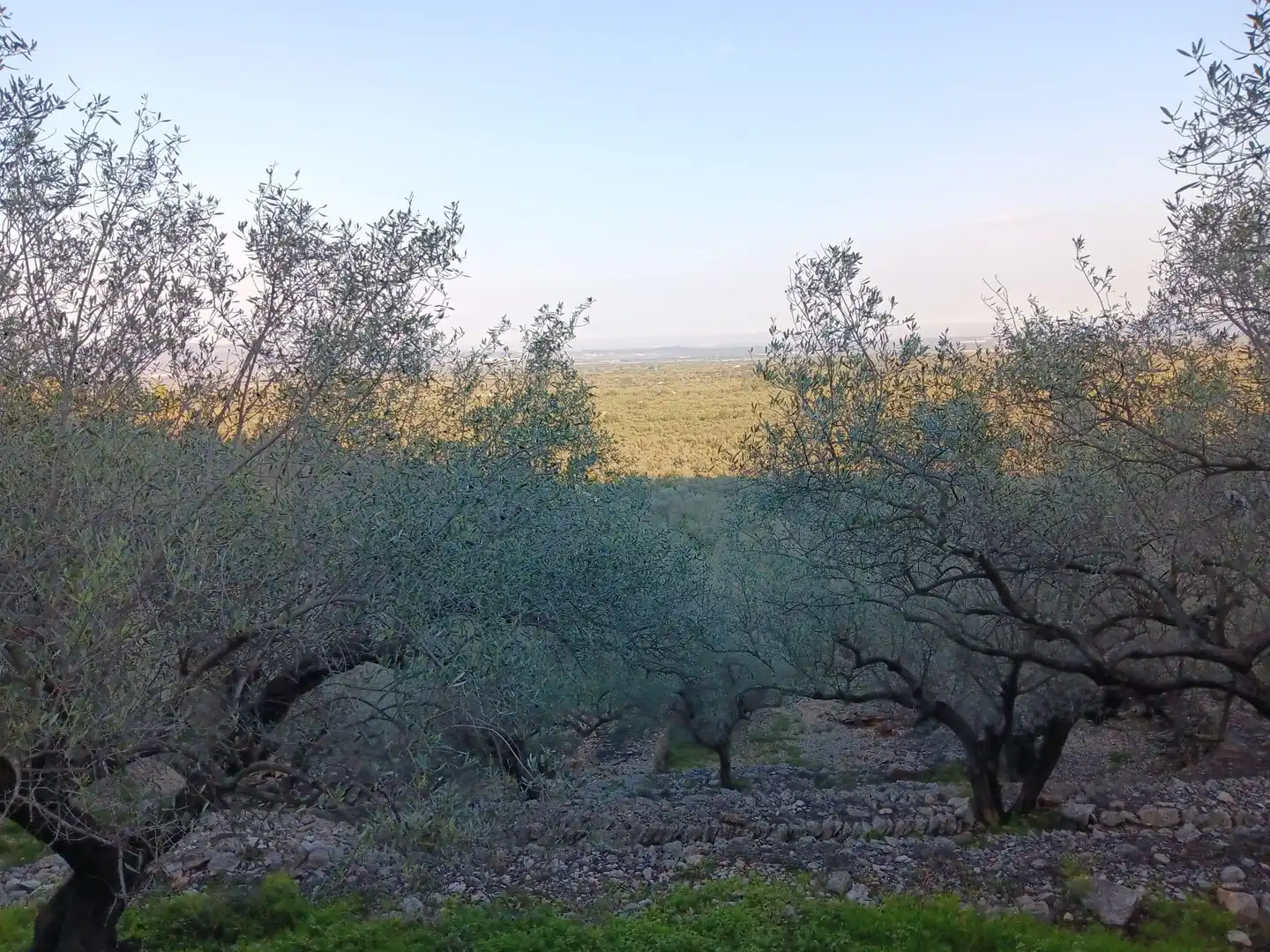 Terrenys i solars en venda a Ferreries, imagen 21