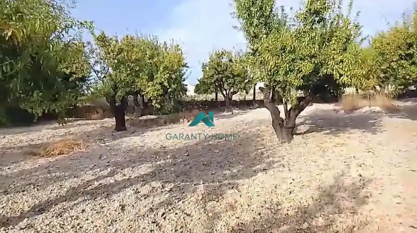 Terreni e lotti in vendita a Torredelcampo