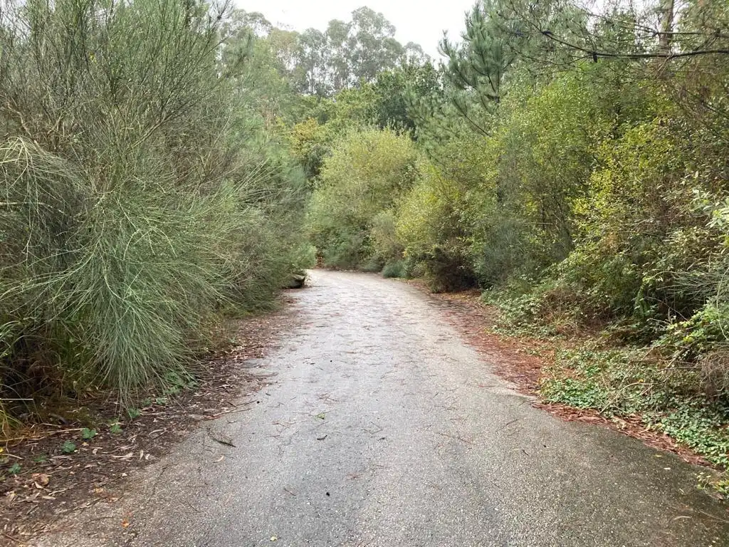 Residencial en venda a Lugar DOMAIO-CARBALLIDO, Moaña