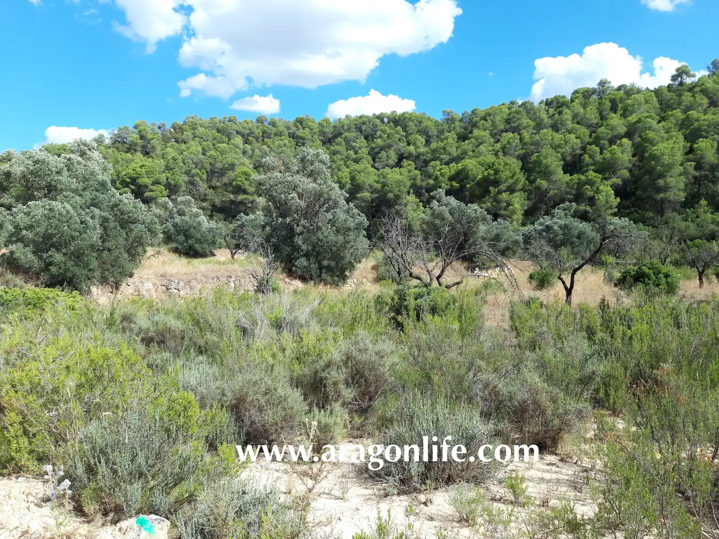 Finca rústica en venta en Fabara