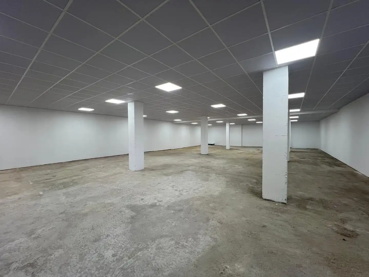 Gewerbefläche zum Verkauf in Nueva Alcalá, imagen 8