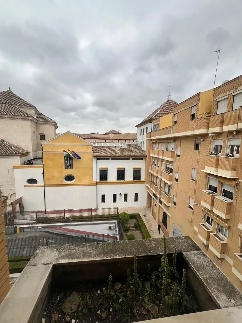 Apartment with terrace to rent in Casco Antiguo, imagen 11