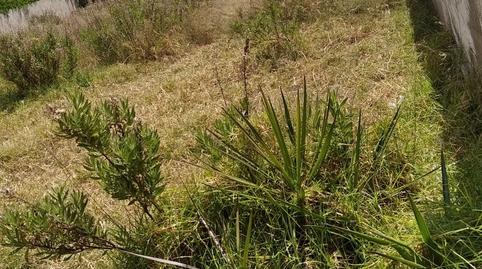 Foto 5 de Residencial en venda a Avinguda del Papa Luna, La Volta, Castellón