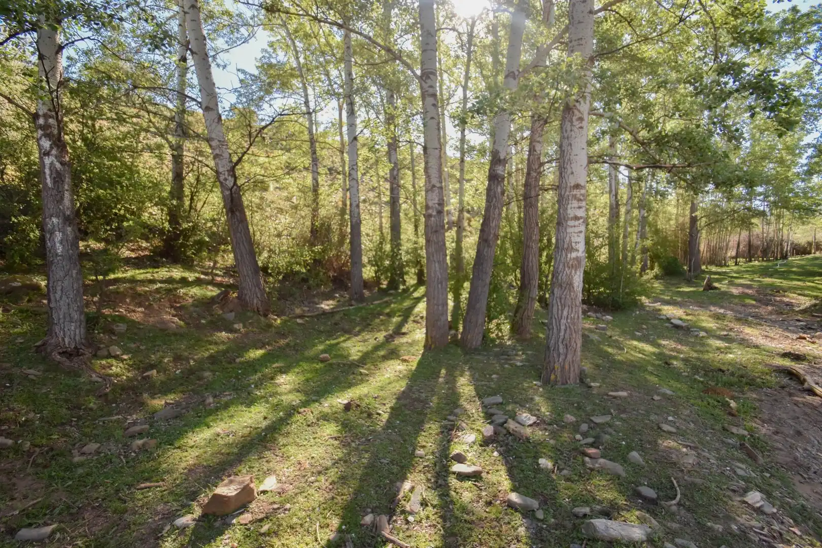 Terreno en venta en Paraje de las Perdices, Lugros