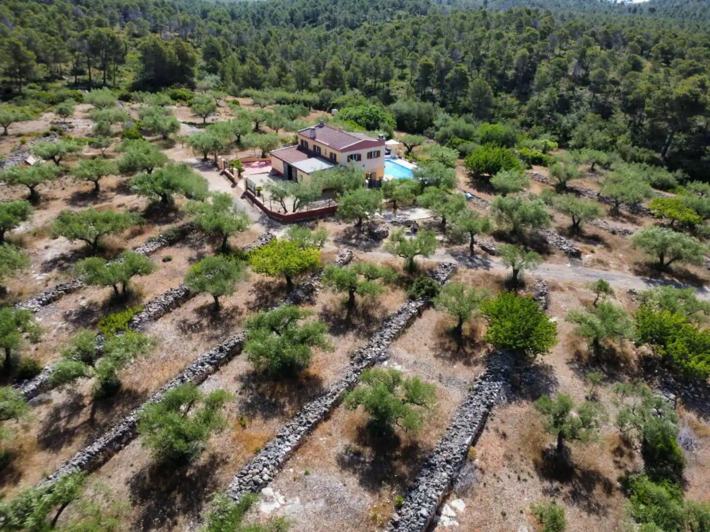 Casa rustica con piscina in vendita a El Perelló, imagen 47