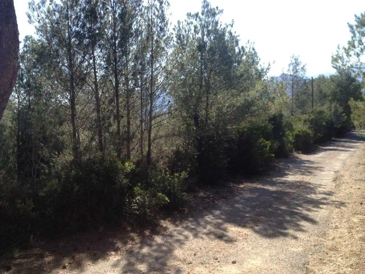 Residencial en venta en Solana S.A, S/N, -1, Xaló