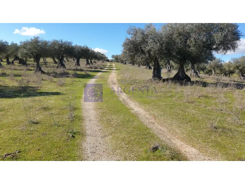 Houses for sale in Diseminados S Miguel, Alcántara
