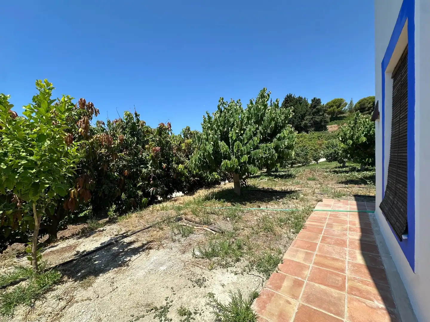 Casa rustica con giardino in vendita a del cementario, imagen 23