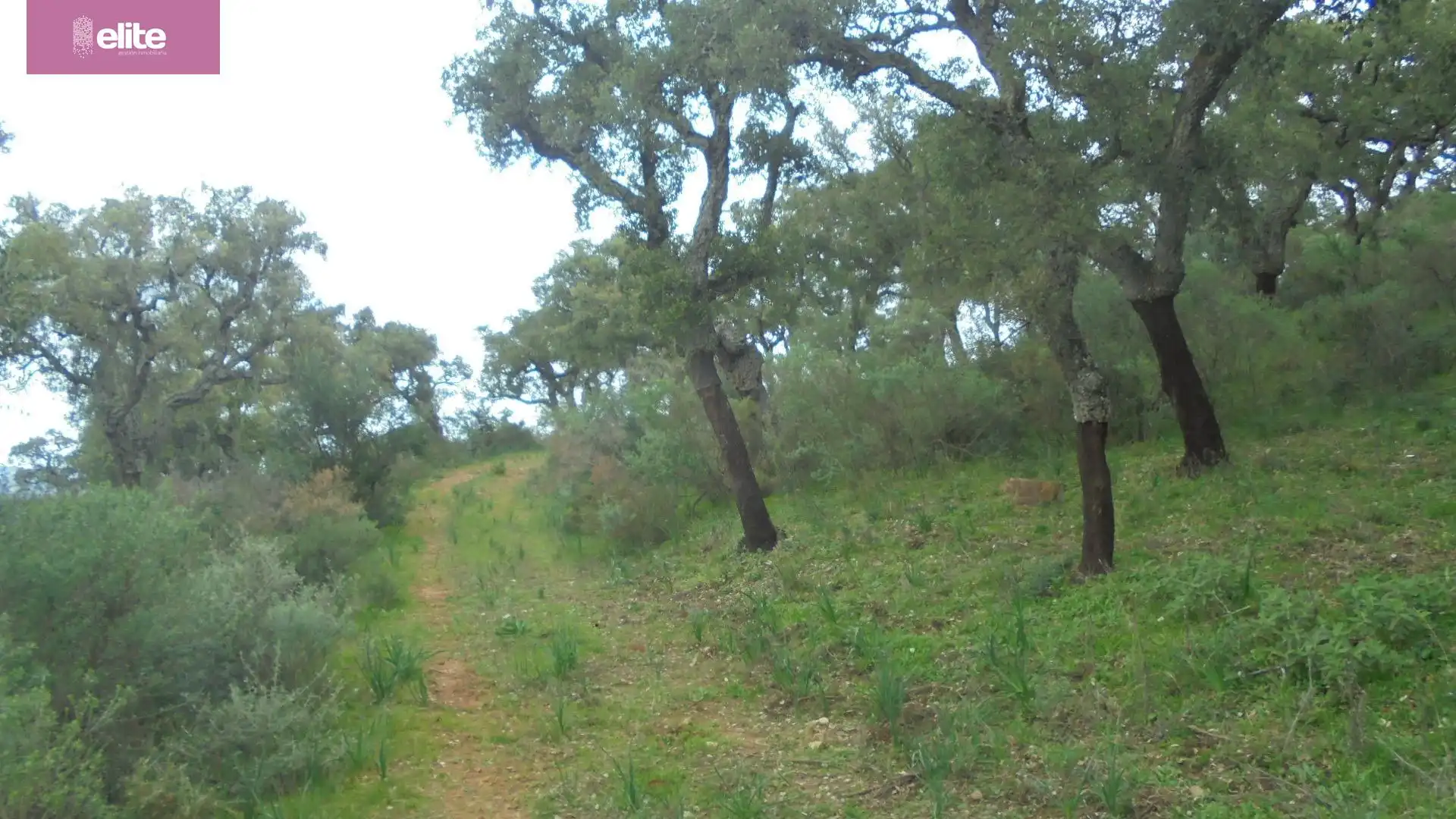 Casa rústica en venda a Santiago - Coronación, imagen 4