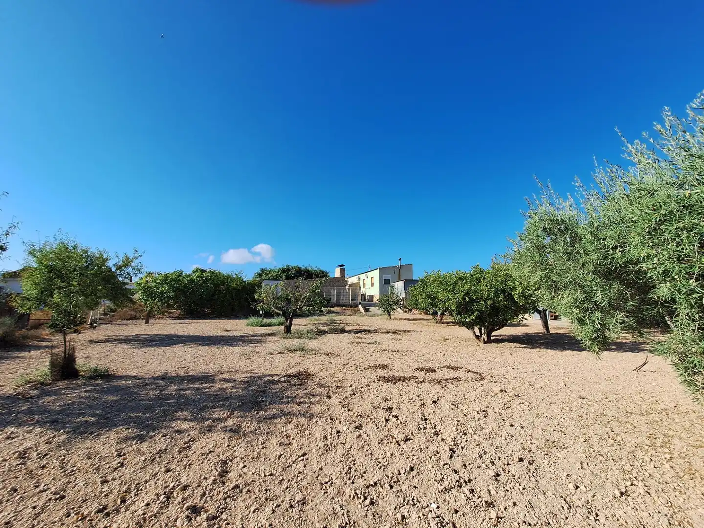 Maison avec piscine à vendre à Partida SOLANA LA, imagen 57