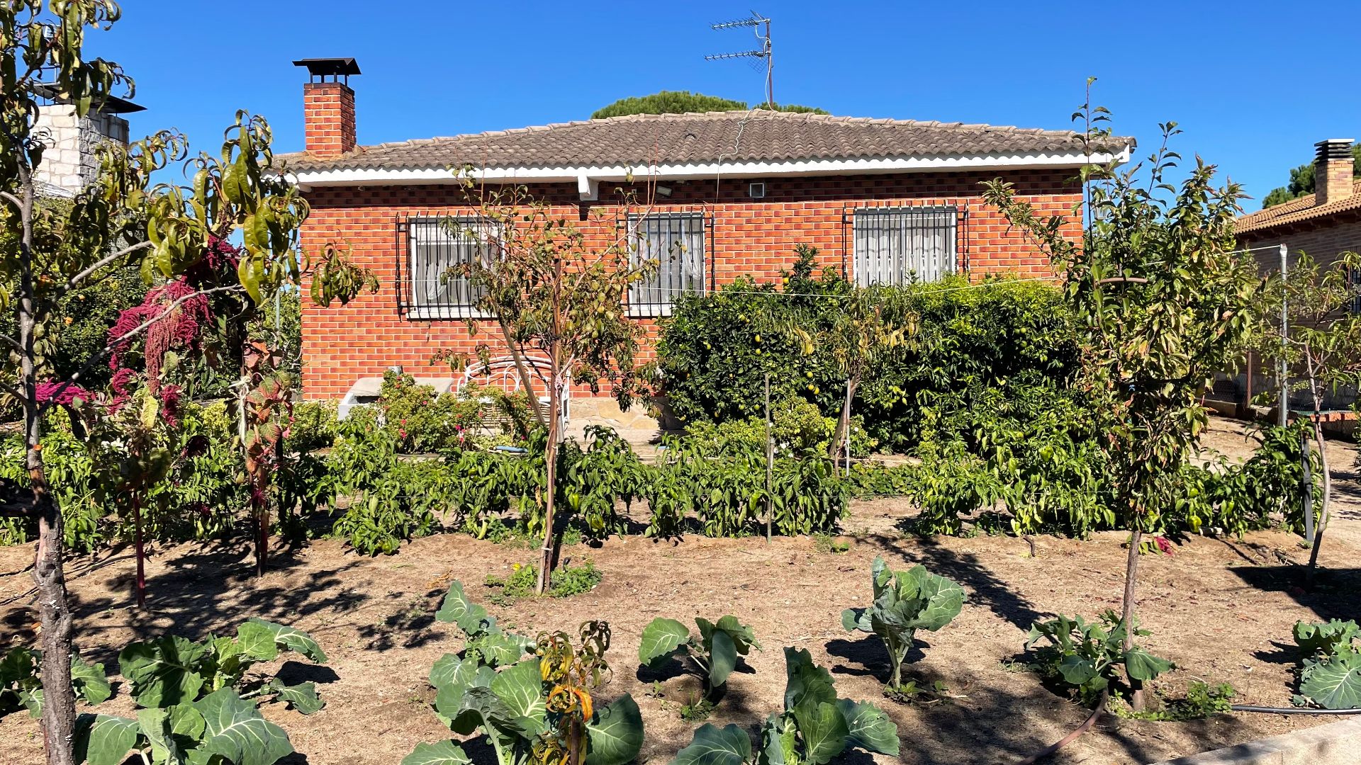 Jardí de Casa o xalet en venda en Santa Cruz del Retamar amb Jardí privat, Terrassa i Traster