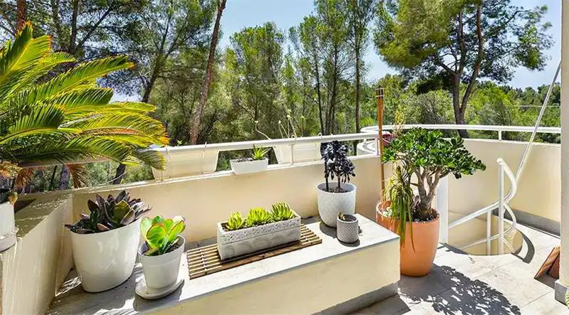 Duplex avec piscine à vendre à Portals Nous, imagen 14