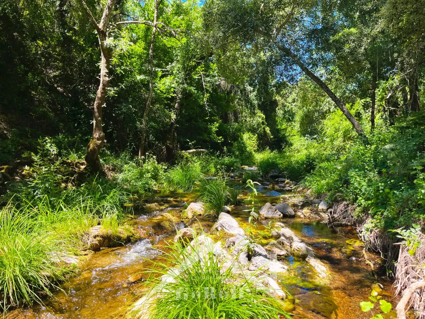 Außenansicht von Grundstücke zum Verkauf in Constantina