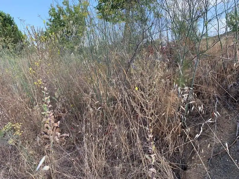 Terreni e lotti in vendita a Carretera de Carbajal, imagen 6