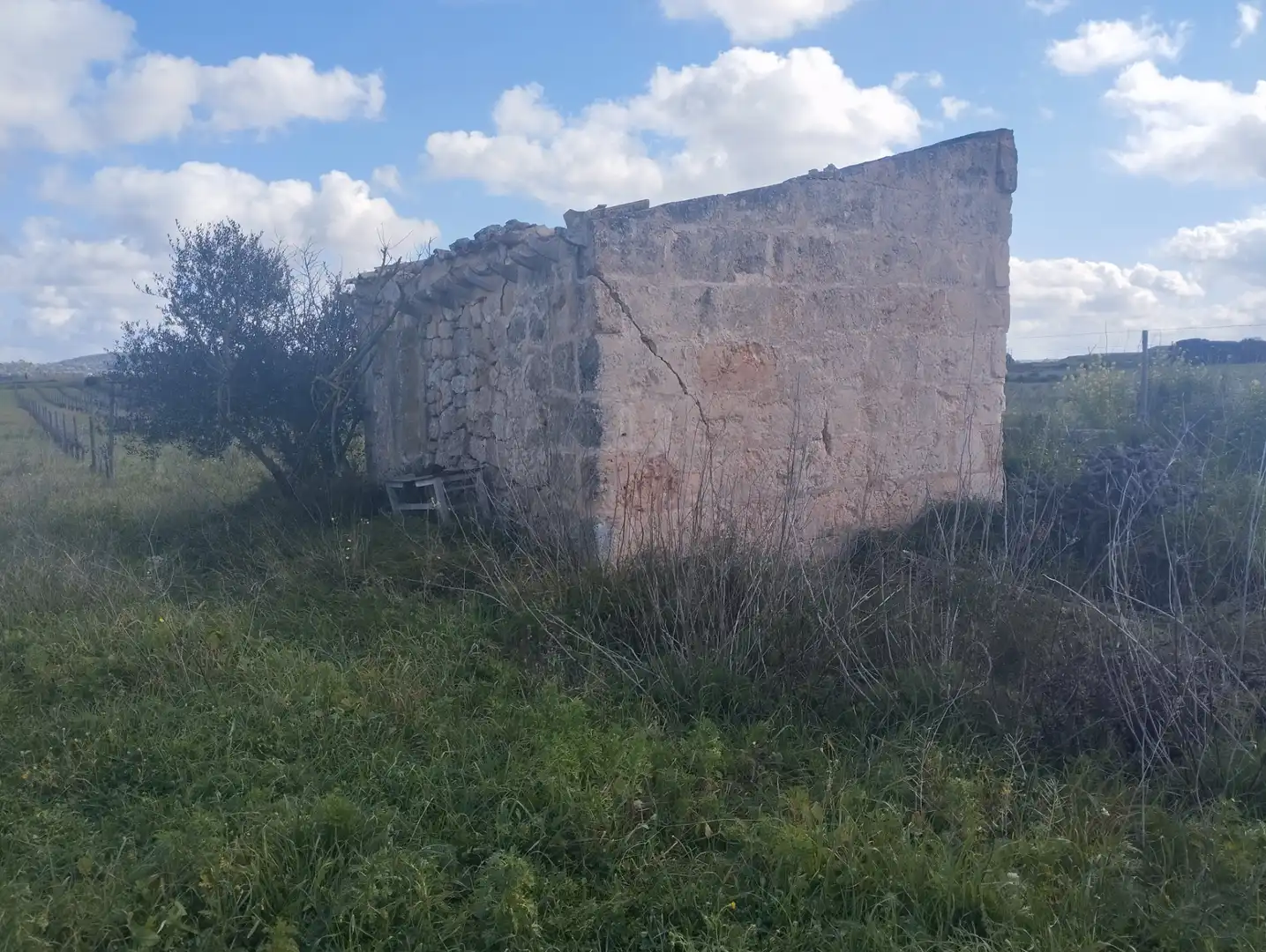 Terrain résidentiel à vendre à Algaida