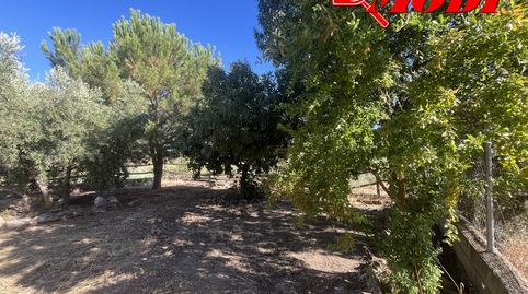 Foto 5 de Finca rústica en venda a Poligono 17 Parcela, 459, Padul, Granada