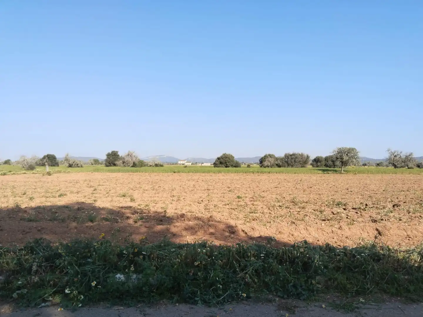 Rustikales Grundstück zum Verkauf in Campos poble, imagen 8